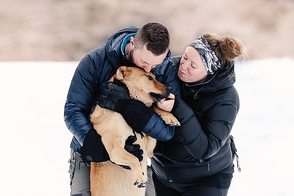 Dog photography
