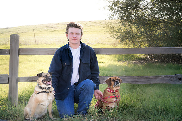 Senior Portrait, Dog portrait, Puggles