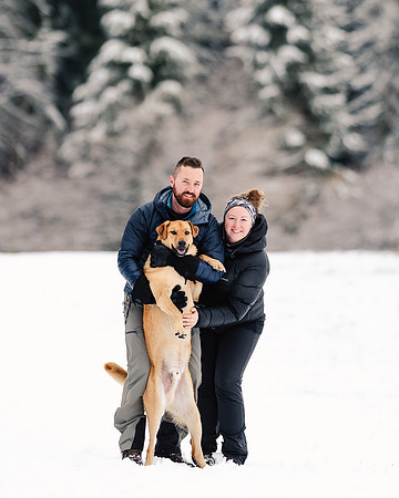Dog photography