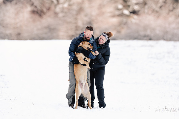 Dog photography