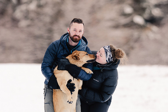 Dog photography